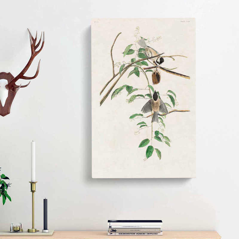 Carolina Titmouse Birds by John Audubon - Wrapped Canvas, 76cm H x 50cm W x 3cm D
