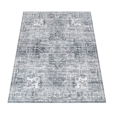 Chilcott Oriental Area Rug