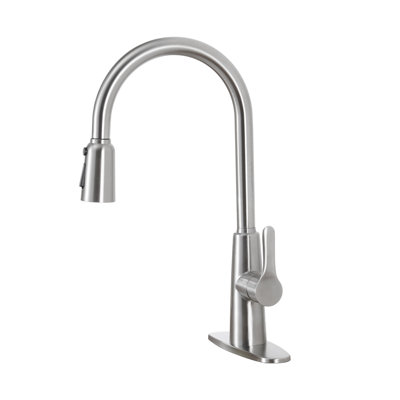 Topcraft Pull Down Single Handle Kitchen Faucet