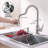 Pull Down Single Handle Kitchen Faucet with Accessories-59881651