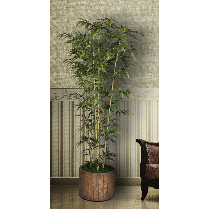 Panama 77" Bamboo Tree in Planter, Natural