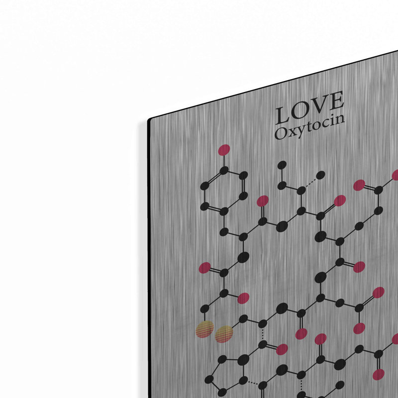 «Oxytocin Molecule», art mural en métal, H 16 po x l 12 po