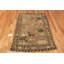 Tapis de collection Shirvan