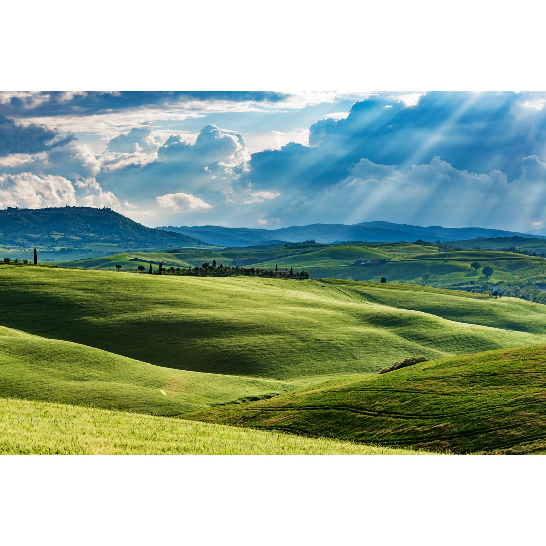 Val D'Orcia, Toskana von Gehringj - Kunstdrucke auf Leinwand