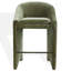 Kagan Chenille Counter Stool-613243464-632524214