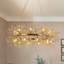 Lustre Geetika-1490459014-1490791367