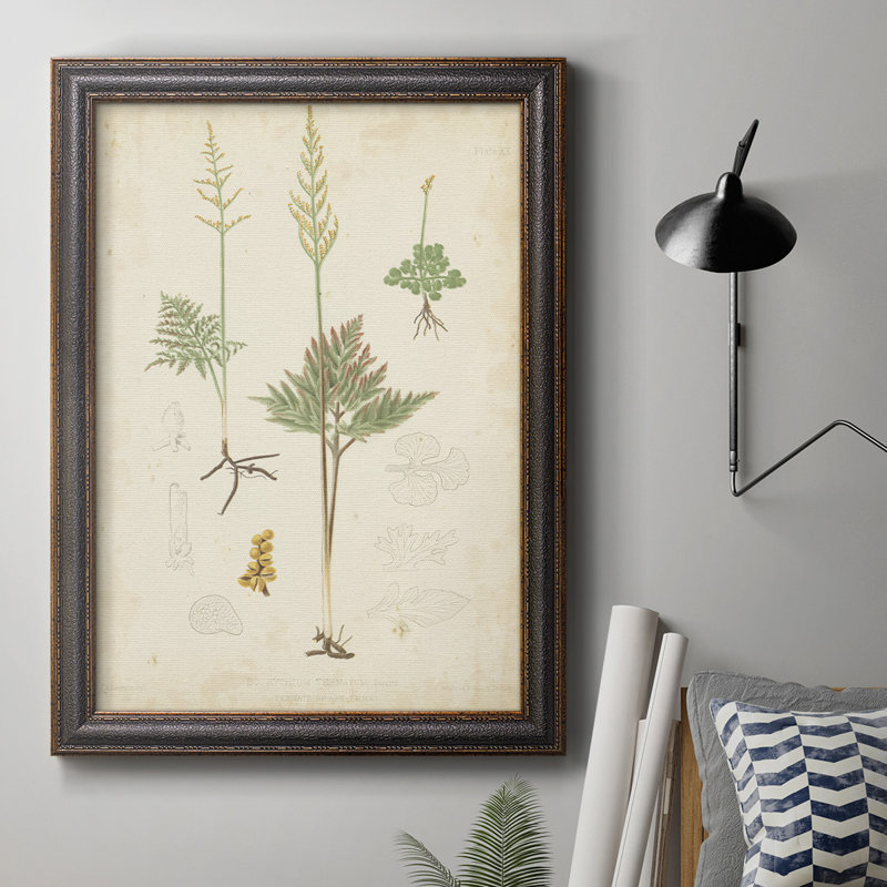 Toile encadrée de qualité supérieure Fern Study II - prête à être accrochée, H 20 po x l 16 po x P 2,5 po