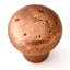 Sierra Mushroom Knob-5220292-11296503