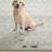 Karneisha Geometric Indoor / Outdoor Rug-1868950220