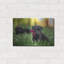 "Black Lab Pup 13" par Jonathan Ross-2098570168