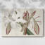 Amaryllis Varietals II-Gallery, toile tendue-1037544199
