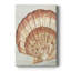 «Vintage Shell Vignette II», galerie tendue sur mesure Cavas