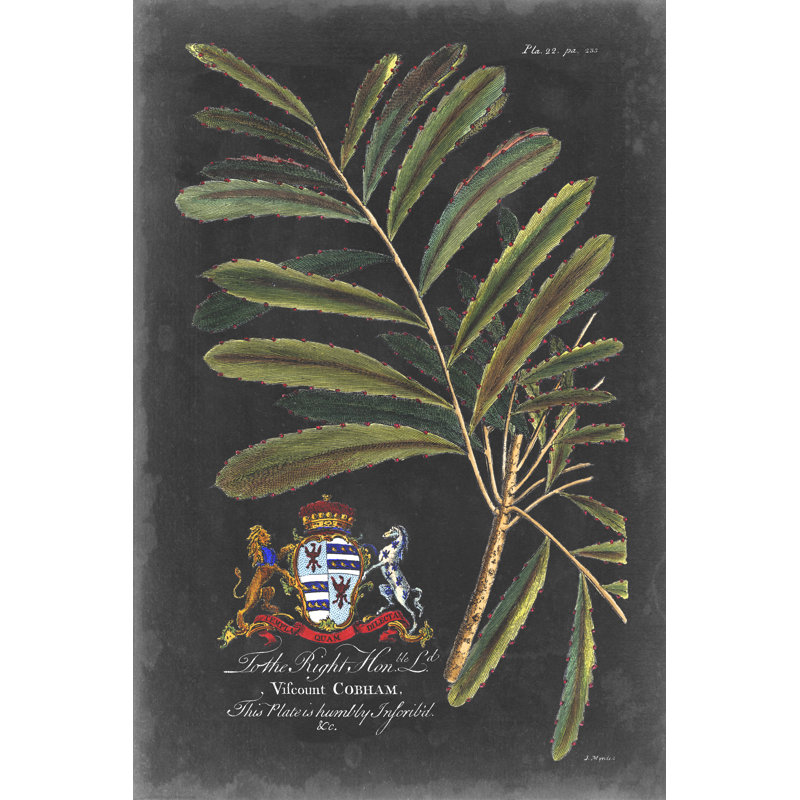 Dramatic Royal Botanical III by George Ehret - Wrapped Canvas Painting, 46cm H x 30cm W