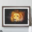 Lion Vol.4 - Picture Frame Graphic Art-62802647-62802648