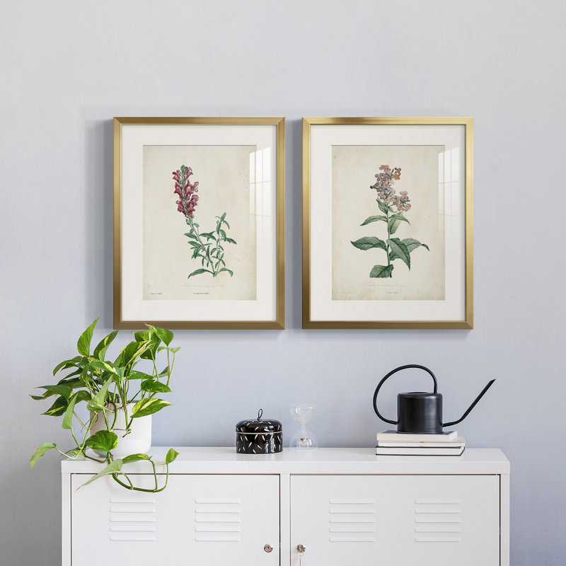 Traditional Botanical I - reproduction encadrée de qualité supérieure - prête à être accrochée