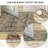 Indoor&Outdoor Washable Printed Carpet Area Rug Non-sliping Backing