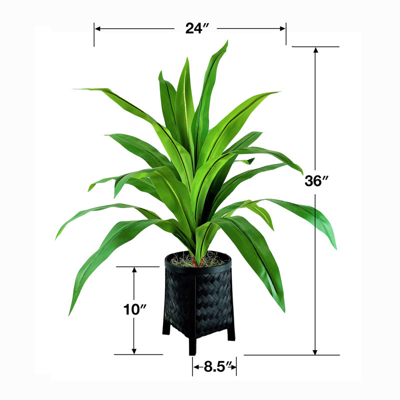36 po Dracaena artificiel en panier
