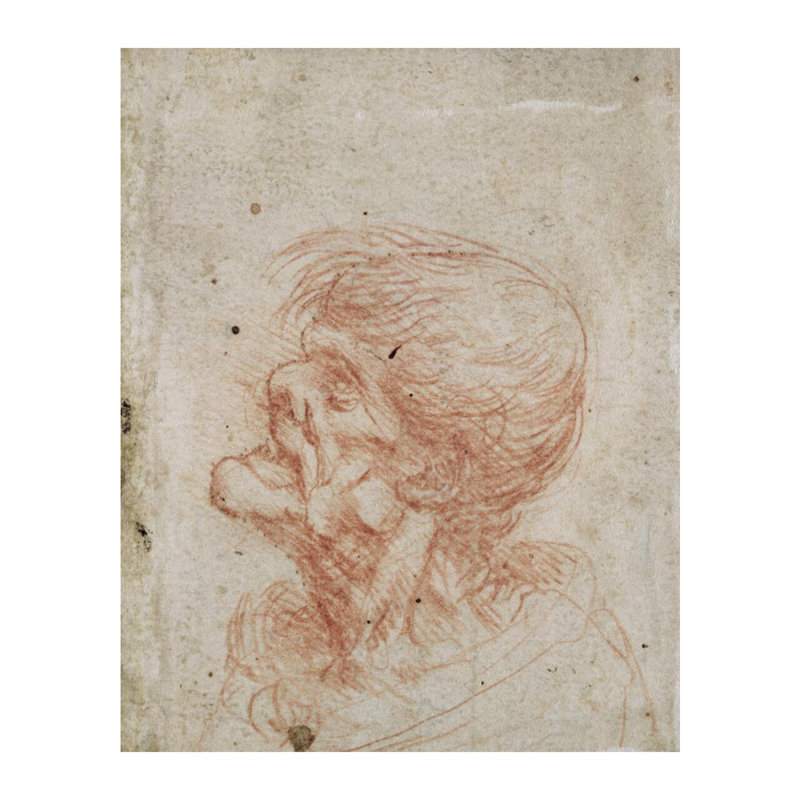 Étude de tête de caricature d'un vieil homme par Leonardo Da Vinci - Estampe numérique, H 20 po x l 16 po