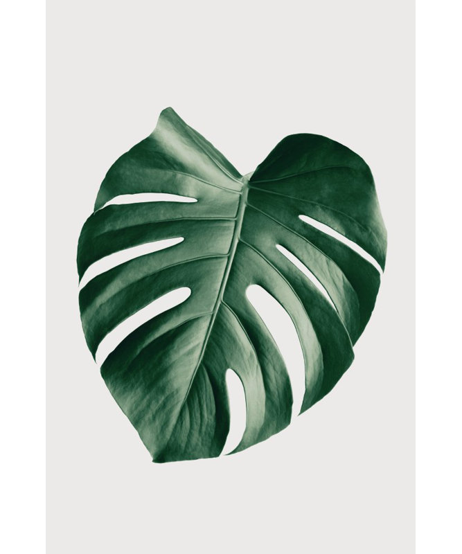 Wrapped Canvas Print, 121.92cm H x 81.28cm W