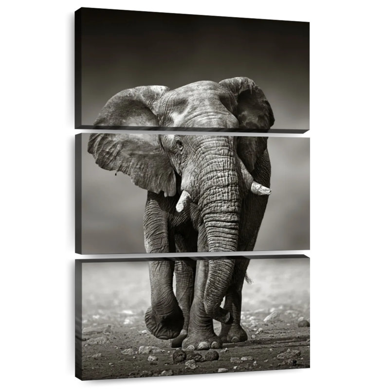 Brampt Namibian Elephant, 38" H x 24" W