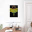 Luna Moth Eclipse-2132463822