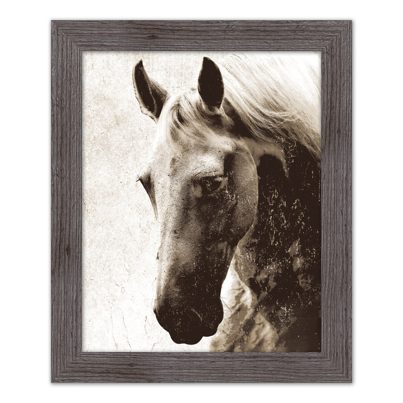 Cheval sépia, reproduction encadrée, H 20 po x l 16 po x P 0,75 po