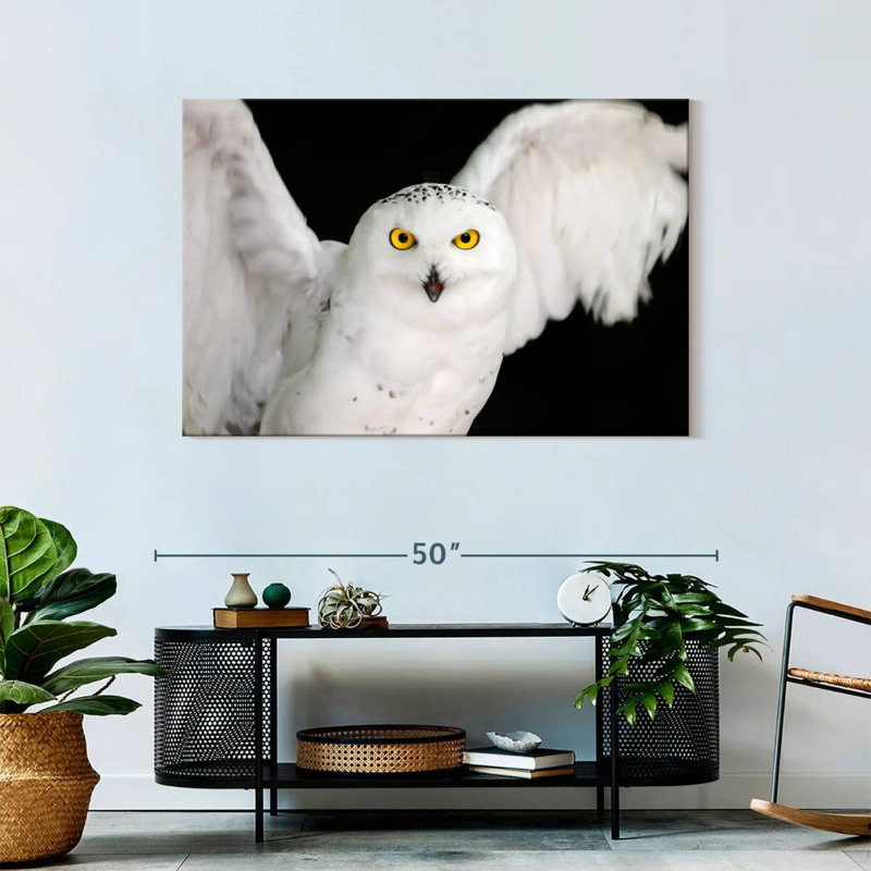 Brampt White Owl, 30" H x 45" W
