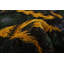 Tapis zone one-of-kind-noué la 2010 shalimar vert foncé/jaune 8 pi x 10 pi zone de laine 3 po Céline