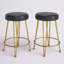 Tabouret de comptoir 24 po Gladsome-1649961335
