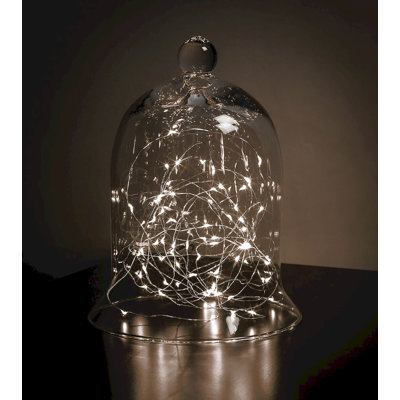 Cloche Or Water Globe