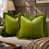 Olive Green
