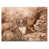 Toile tendue