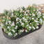 Grand grand pot à fleurs surélevé en métal noir, 88,99 po x 45,59 po x 11,22 po, pour plantes et fleurs, surface rouille, surface de construction stable-1503539472-1503539473