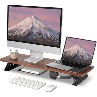 Thick Panel Metal Leg Ergonomic Monitor Riser Stand with Cable Management, 55 Lbs Heavy Capacity