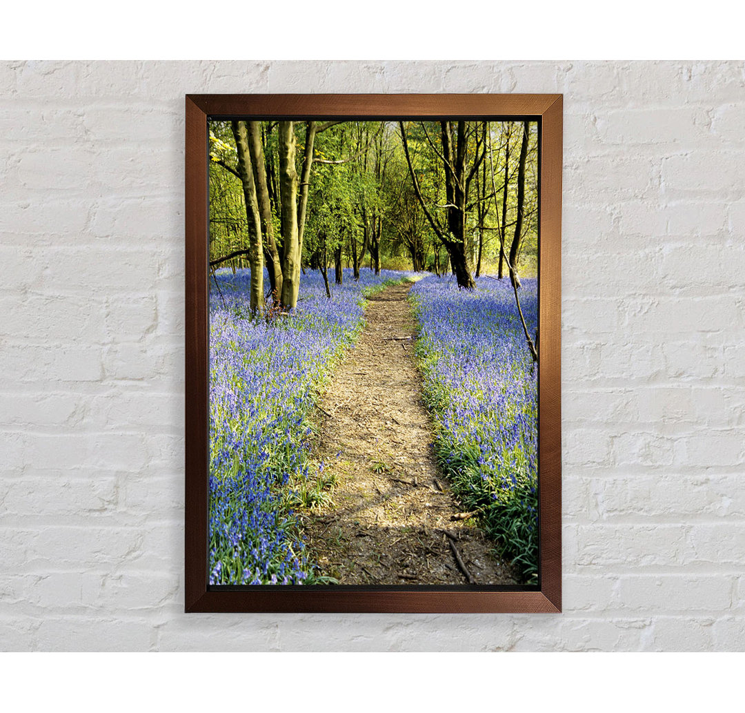 Bluebell Path - Drucken