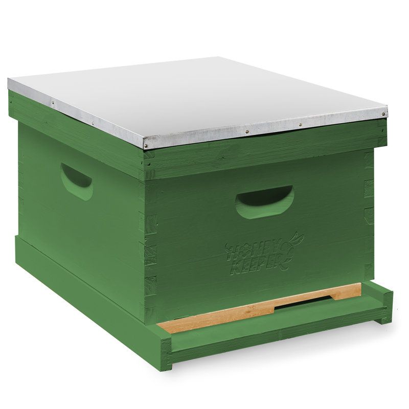 Arlmont & Co. Starter Beehive Set, Painted and Assembled with 10 Frames - Green