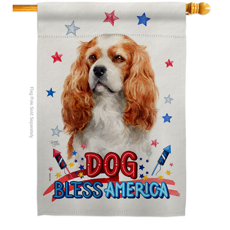Drapeau de maison patriotique en polyester 3 faces 2 x 2 pi