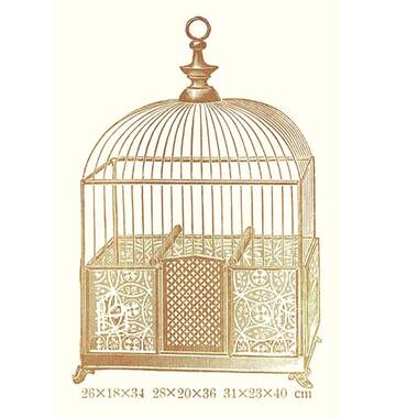 Buyenlarge Ornate Brown Bird Cage J Print