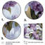 Mauve et lilas gris, fleurs parfumées III - art mural floral-368969060-368969061