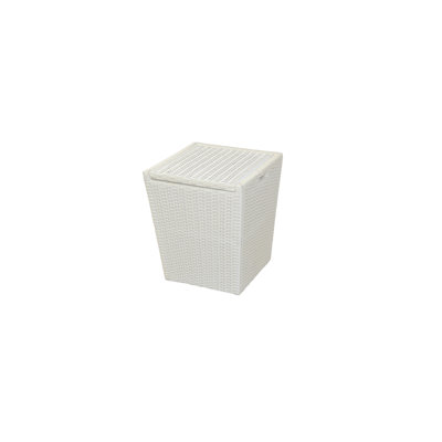Plastic Laundry Basket with Handles
