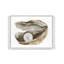 Oyster 4-1731264111-1731264107