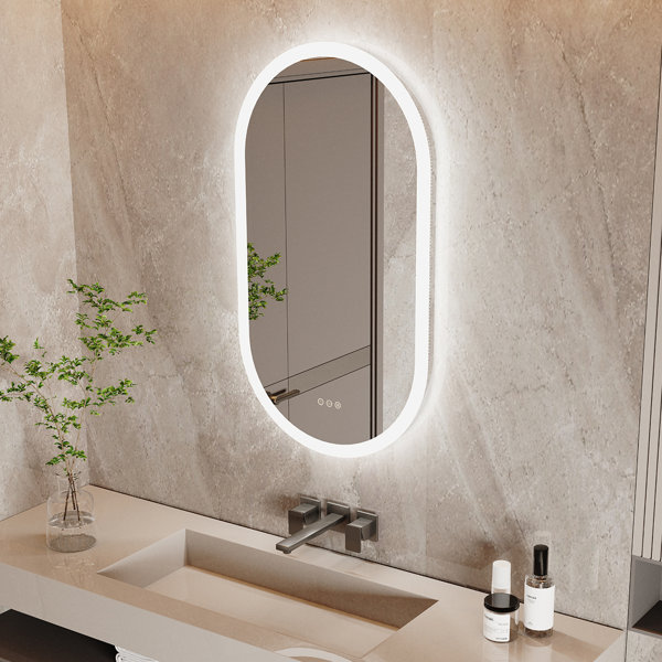 Orren Ellis Jaharie Oval LED Wall Mirror & Reviews | Wayfair