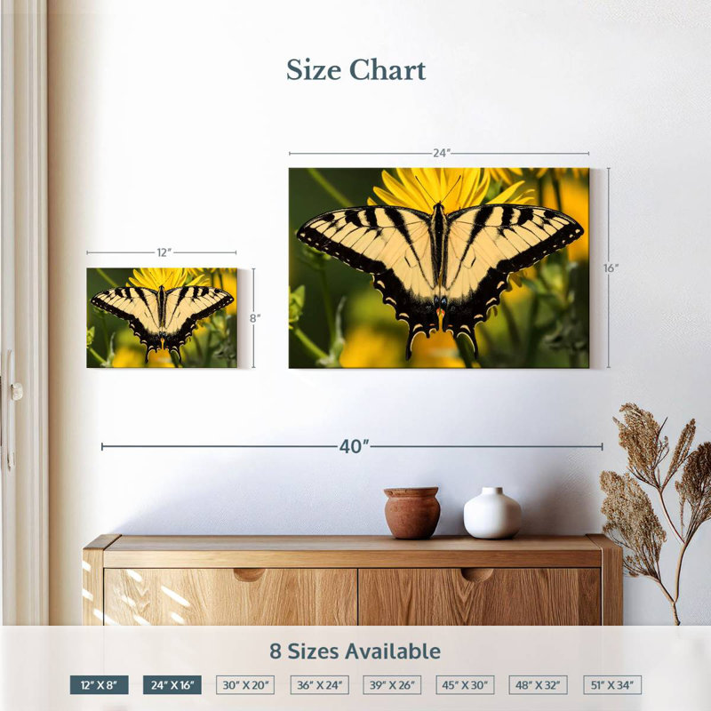 Perched Swallowtail Butterfly, 16" H x 24" W