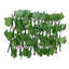 Cathren Lattice Panel-114715978