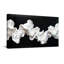 Vagues sculpturales blanches sur fond noir-1570181684