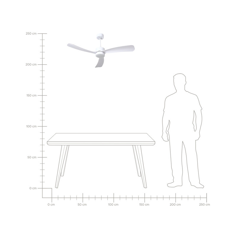 Ceiling Fan
