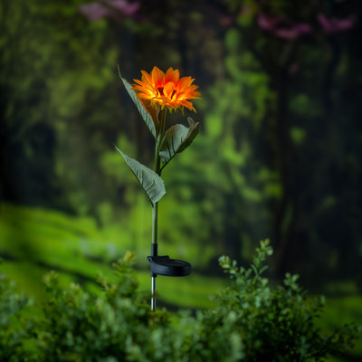 Piquet de jardin Lecy