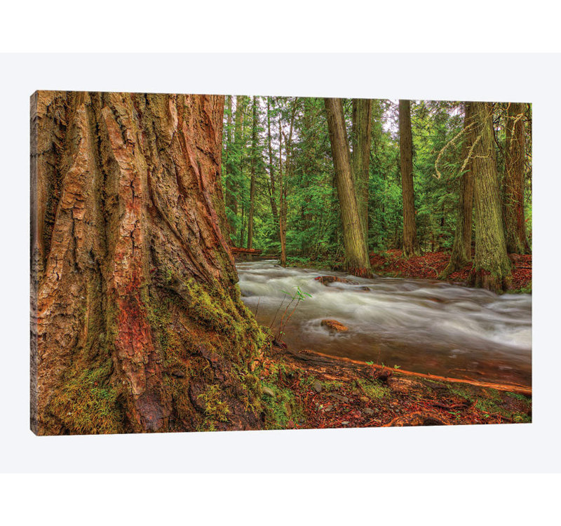 « théy » par bill sherrell, reproduction d’impression sur toile tendue, H 12 po x l 18 po x P 1,5 po, Toile tendue