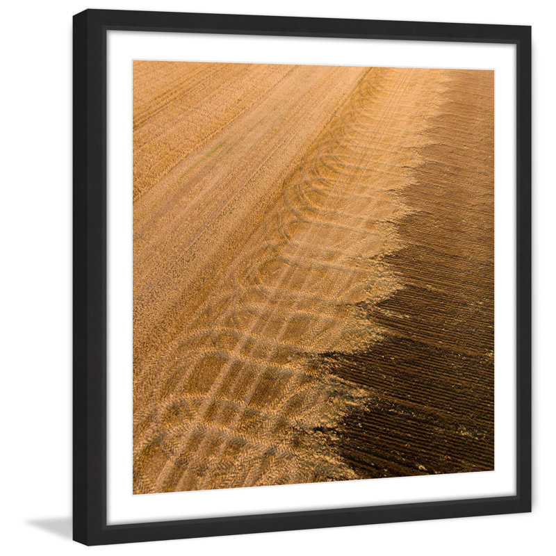 Single Picture Frame Print, 41 cm H x 41 cm W x 3.81 cm D