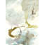 Clarity II Print by Sara Brown-25798419-25798425